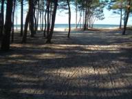 Resize of DSCF2538.JPG